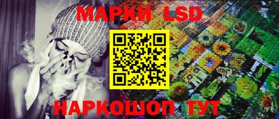 СК Бийск