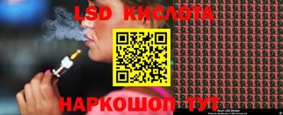 СК Бийск