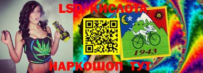 СК Бийск