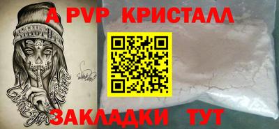 СК Бийск
