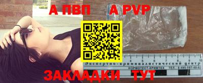 СК Бийск
