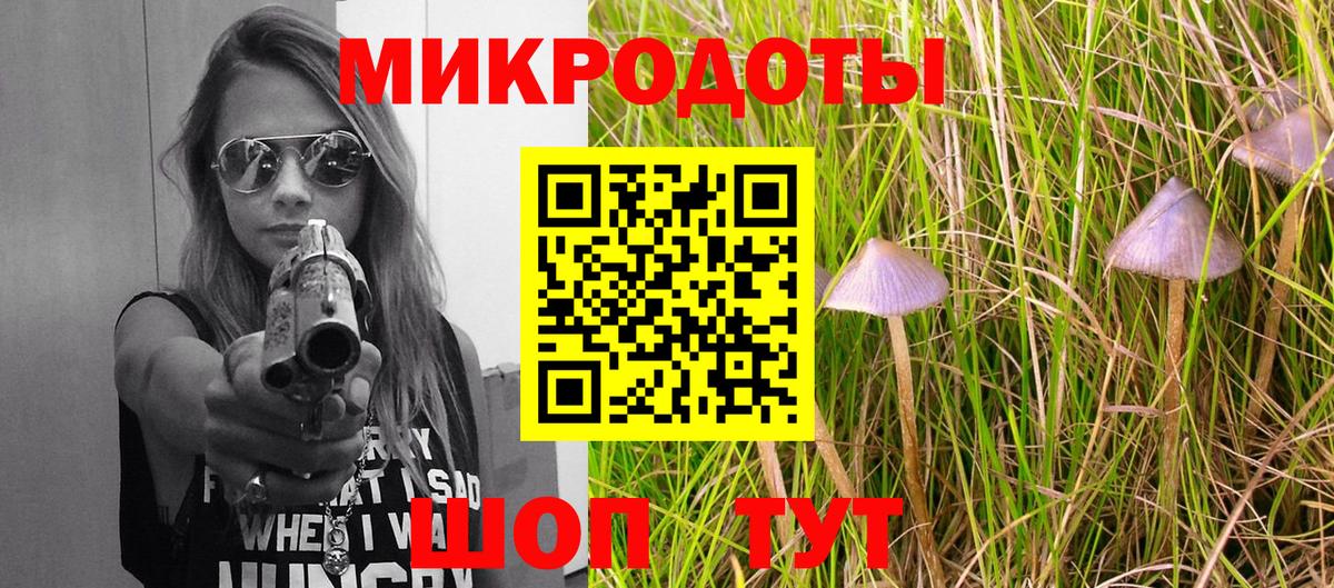 Кириши  Псилоцибиновые грибы Psilocybine cubensis  Вход с VPN 